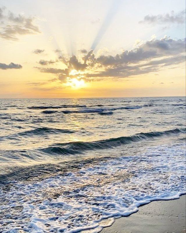 ����� ����������: ������������� ���������� � ��������� �����������! � ������ �����!