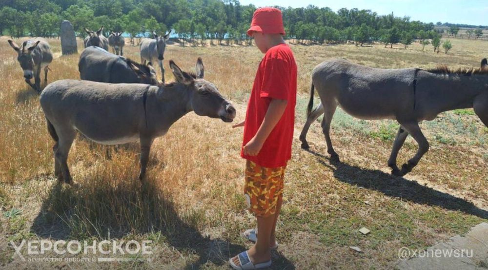 �������� ��������-���� ������ �� ������� � 31 ������� ���������� ������� ������������� �����