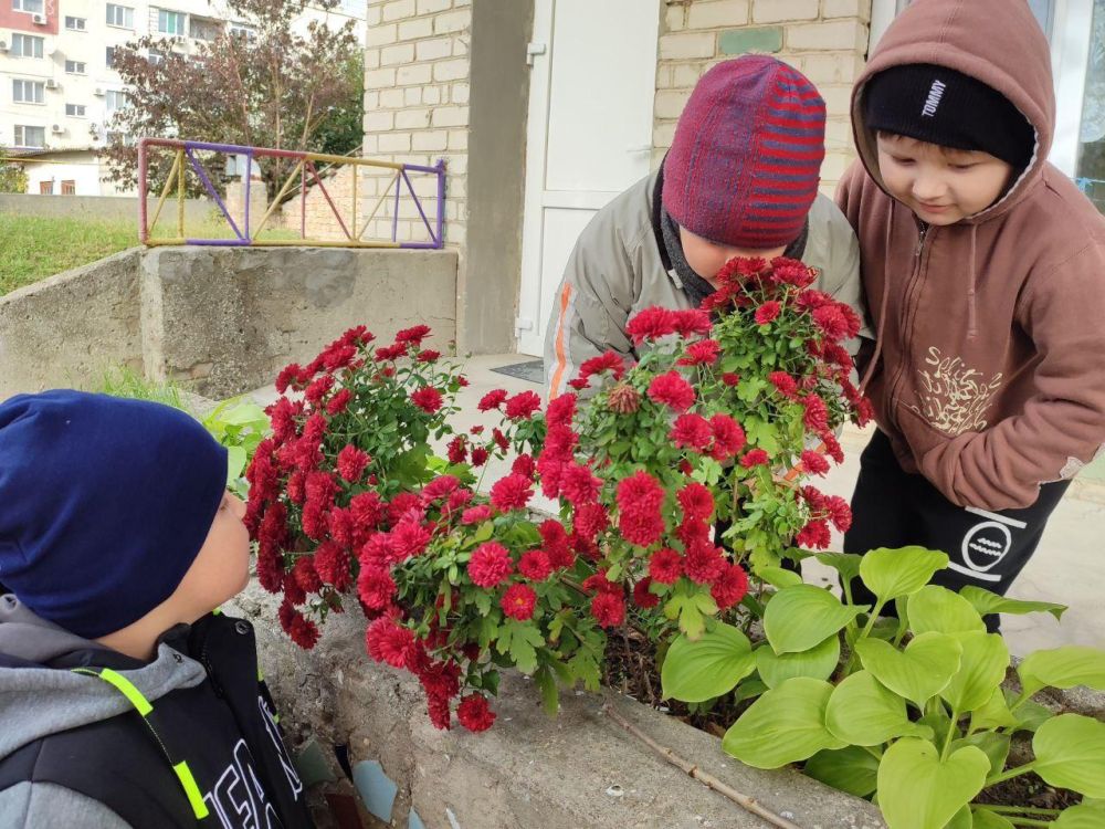 �������������� �������� � ���������� ����-���� ����������