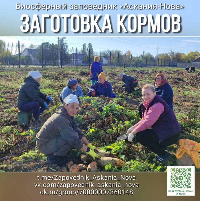 ��������� ������ ������ ��� �������� ������ � ���������� ����������� "�������-����"