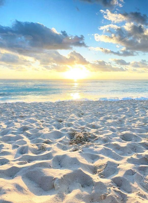 ����� ����������: ������ ����! ����� ���� ���� ����� ����� ������ ��������� � ��������� ����������!