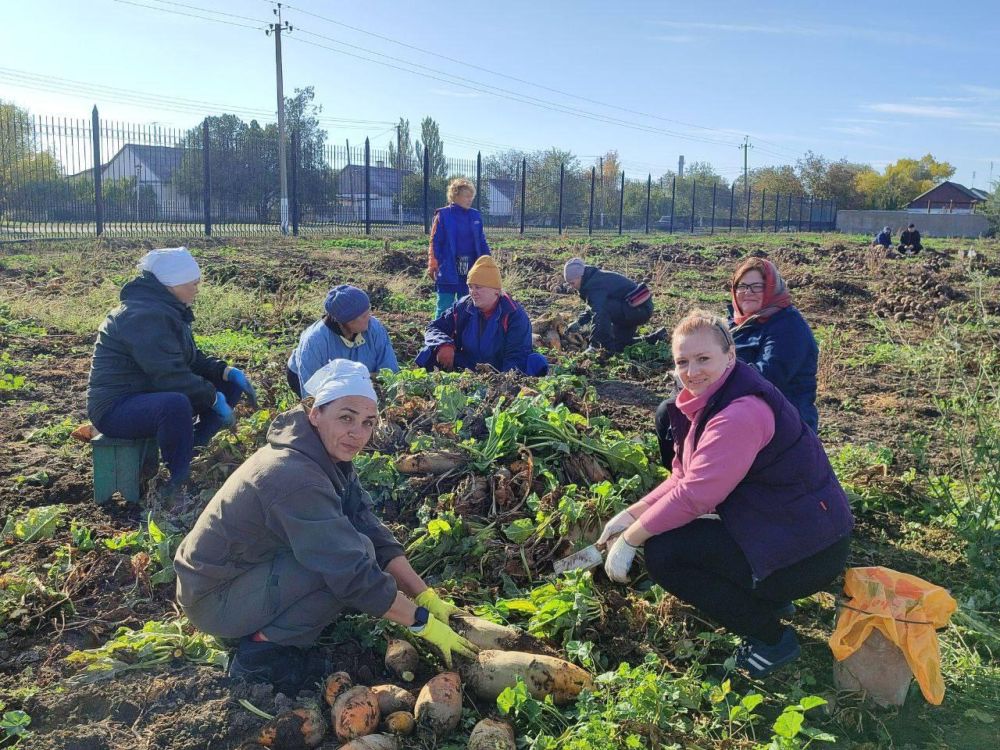 � ���������� ����������� ��������-���� ������ ��������� ������ ������ ��� �������