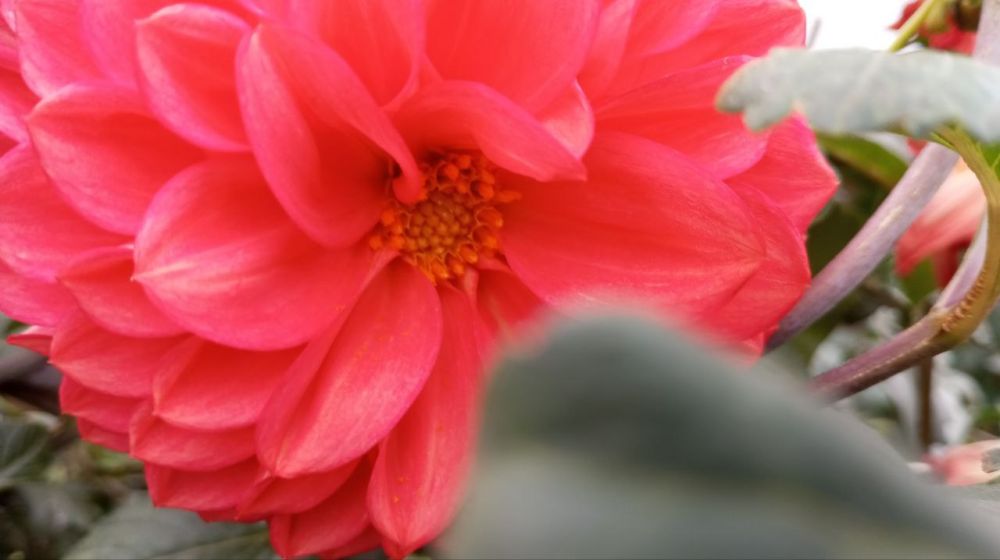 � ������ �����, �����������!