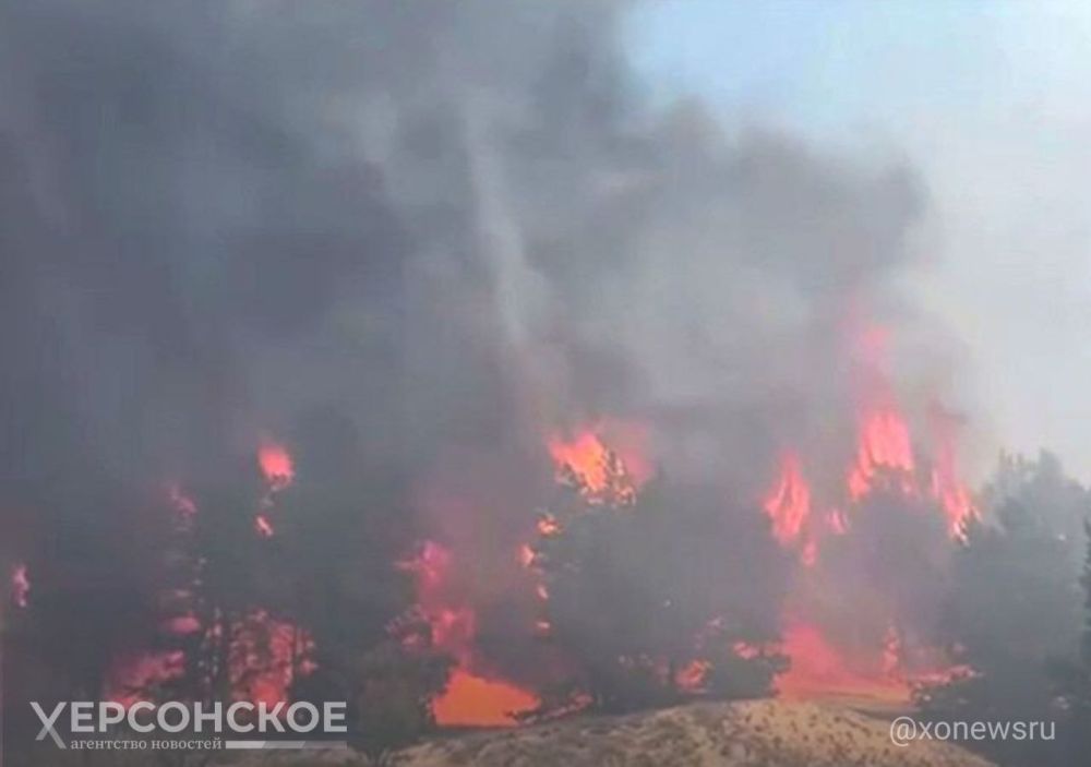 ������������ ������ ������������: ������� ������ ������ ��� � ���������� ��������