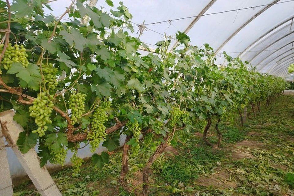 � ���������� ������� � ������ ������ ������� ������ ������ �������