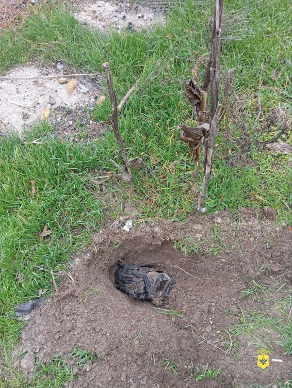 �� ���������� ���������� ������� ���������� � �������� ������ ������ � ������������ ����������