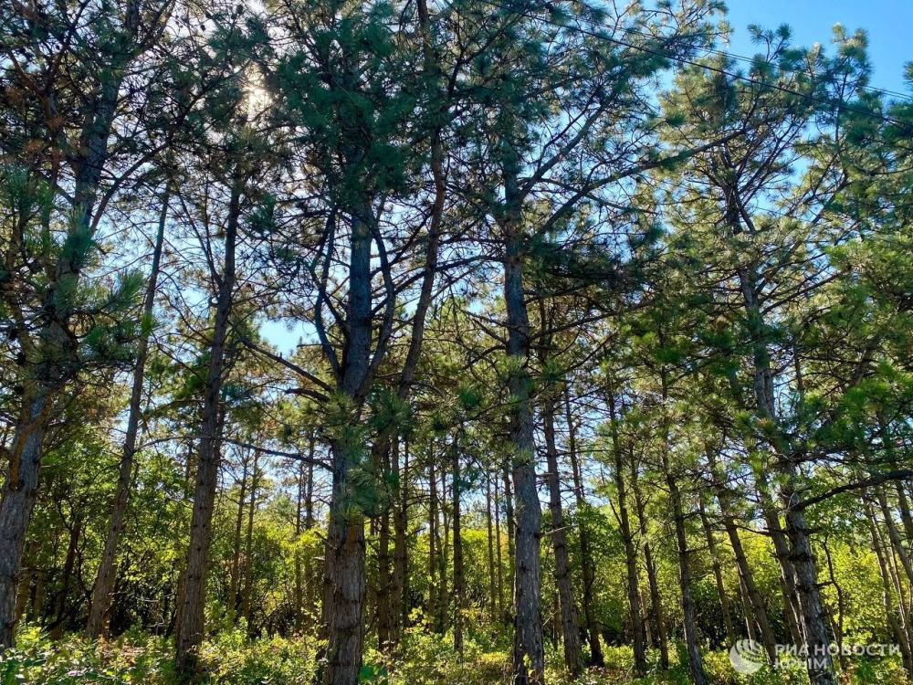 ������ �� ����� ����������� ������