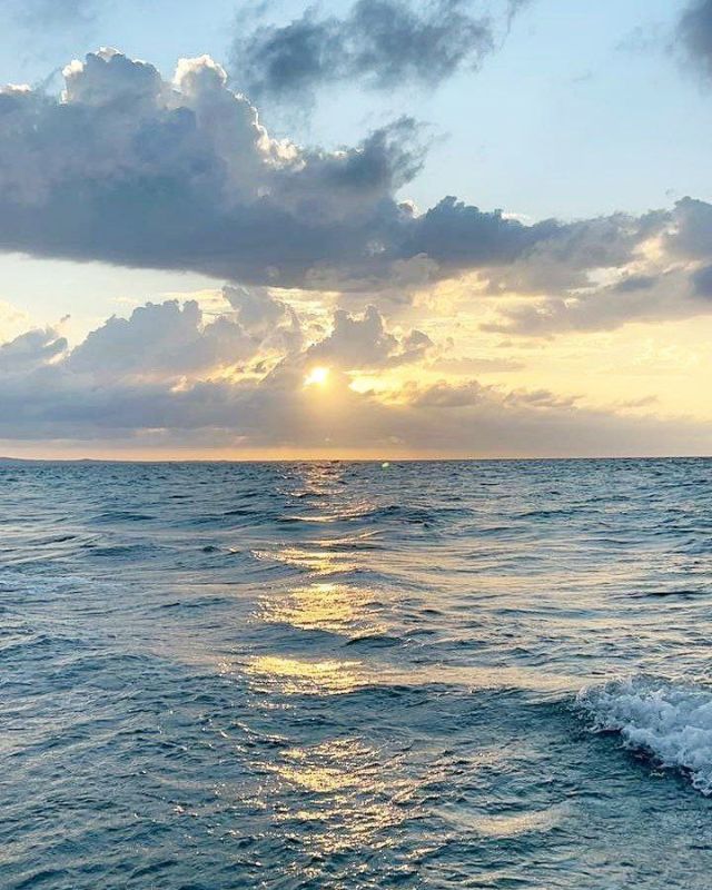 ����� ����������: ������ ����, ������!. ����� ��������� ���� ������� ��� �������� � ��������� �� ���� ����! ����� �����������, �������� ������ � ���������� ������! ���������� ���� ���������� ����� ����������� �������