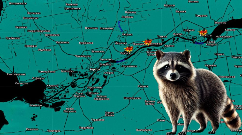 ���� �� �������: ������ ���� ����������� ����������: