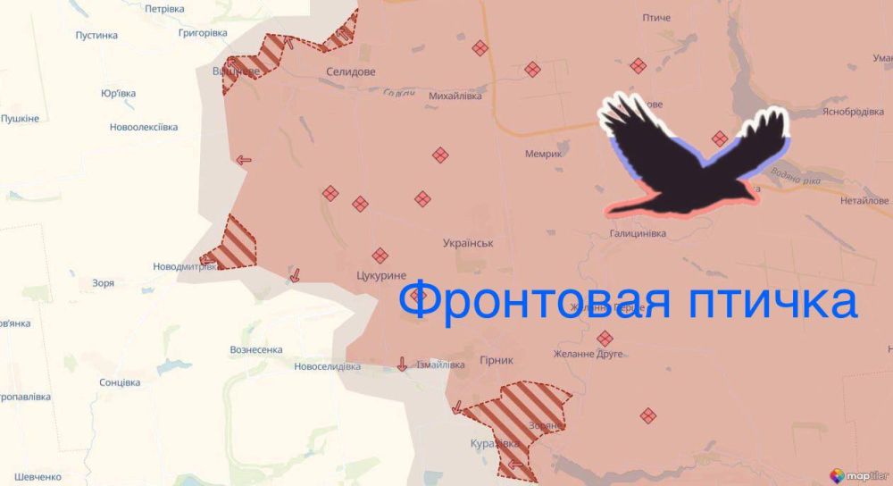 �������� � ������������� ����������� ����� ������������ � ������������ � ������ ���������� � ��������������