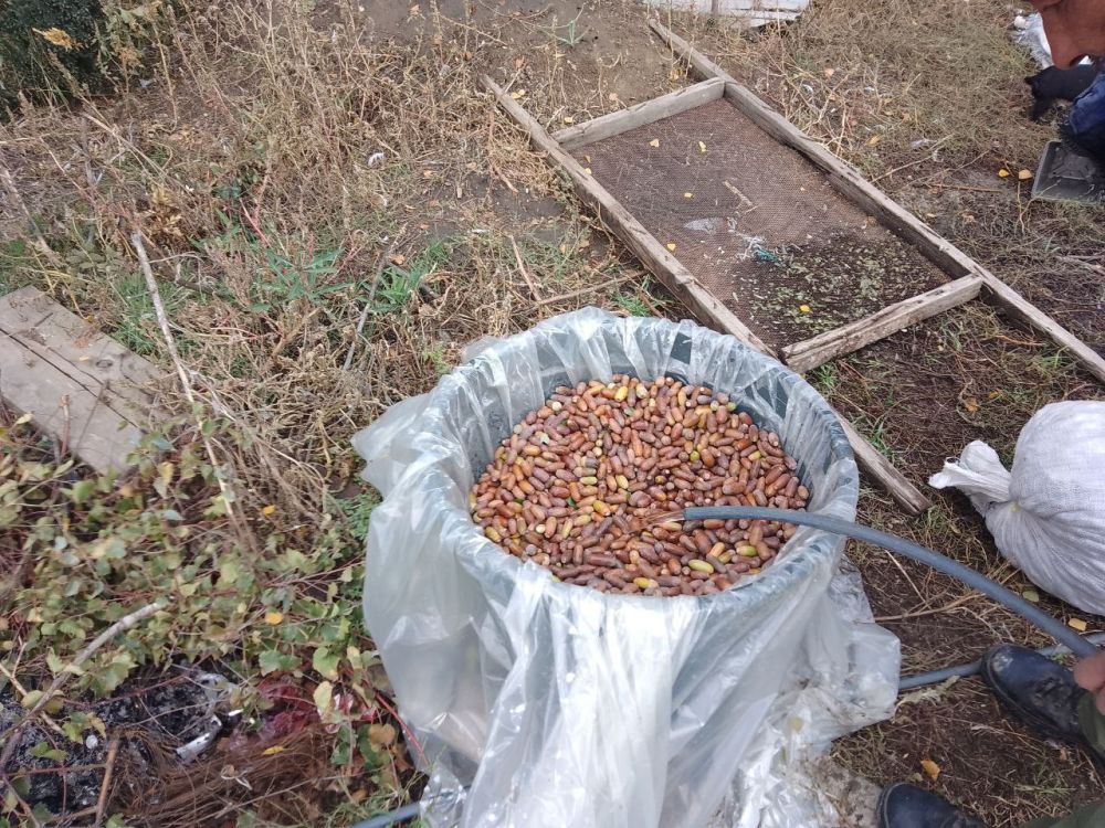 � ���������� ������� ������� ������ ��� ������� � ����������