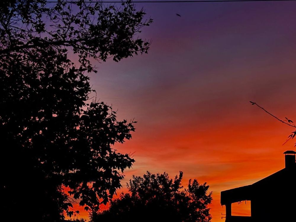 ����� ����������: ������������ ��� �������