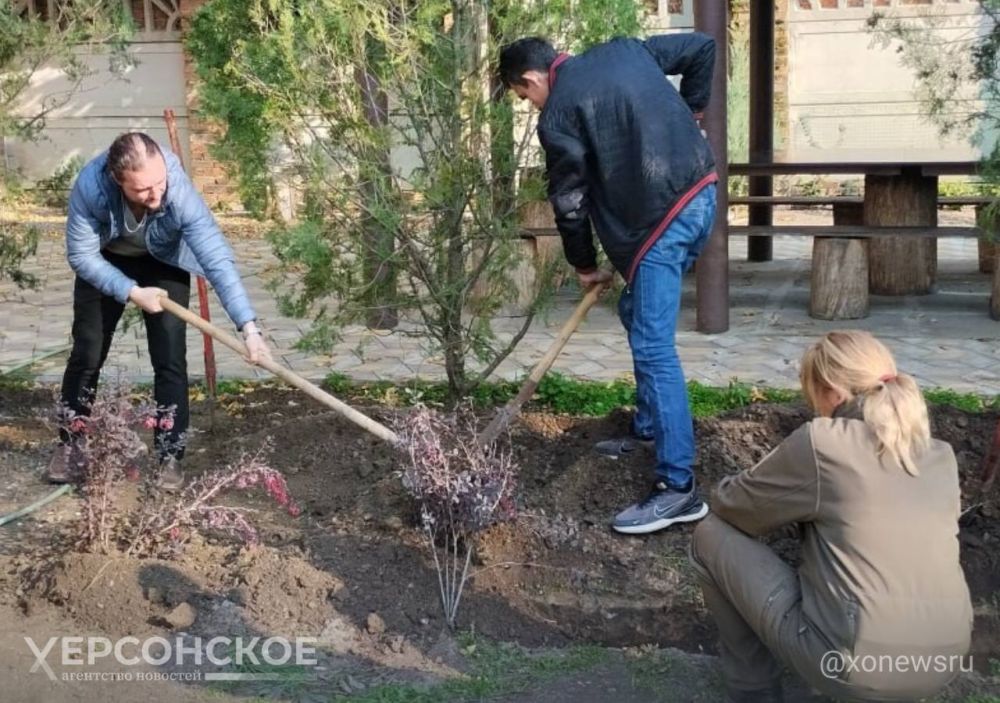 ���������� ������������� ��������� �� ���������� �������� ��������