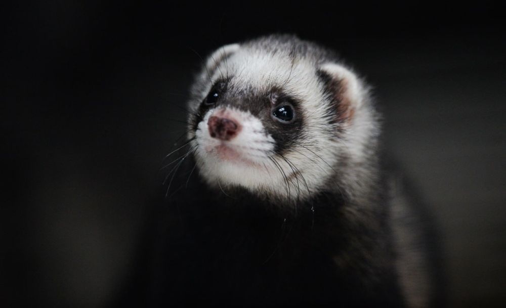 �������� ���������� ������� � �����