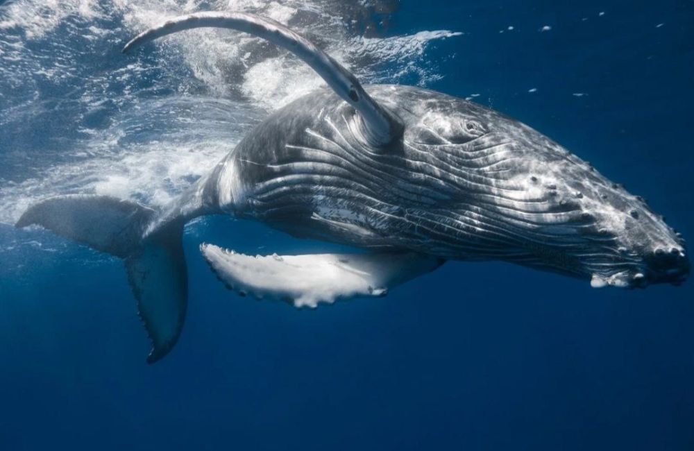 . � �� ����� ��� �������� ���� ������ ����� ������� ���� ������ ��������������, �� ����� ���� ������ �� 20 ����������!...