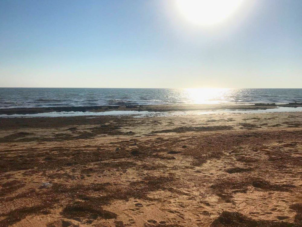 ����� ����������: ������������ ������� ������ �������� � ����������! ����� ��� ������������� ���������� � ����� �� ���� �����