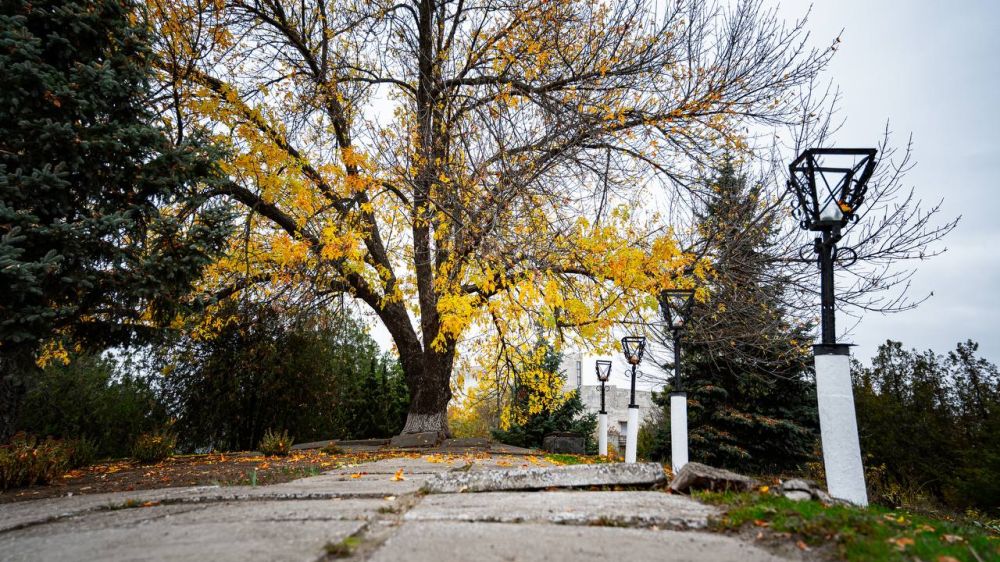 �������� ������: "���������� ����������� � ����� ����� ����, �� ������ ��� ������������ ��-����������"