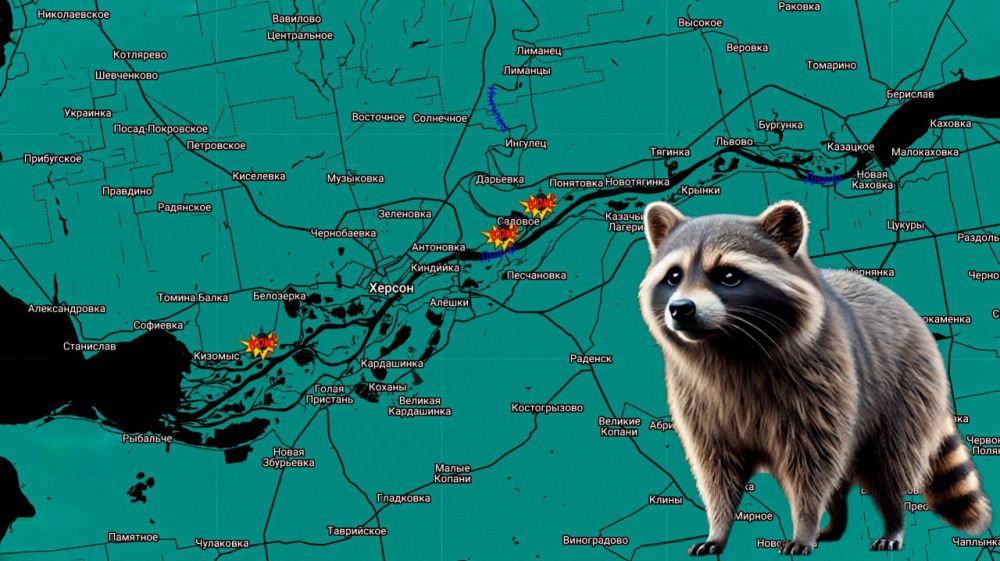 ���� �� �������: ������ ����! ���������� �� �����������: