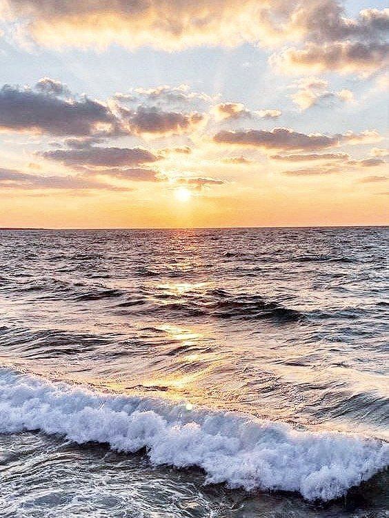 ����� ����������: ��������� ���� �������� � �������������