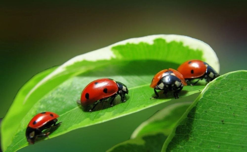 . � �� ����� ��� ����� ������� ����� ������� �� ����� ���