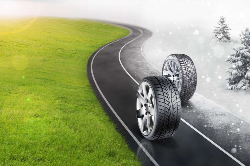 ��� ����� ����������� ������ ���� �� ������