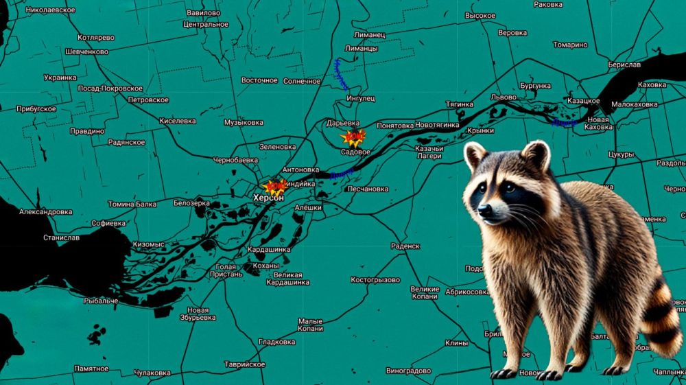 ���� �� �������: ������ ����! ���������� �� �����������: