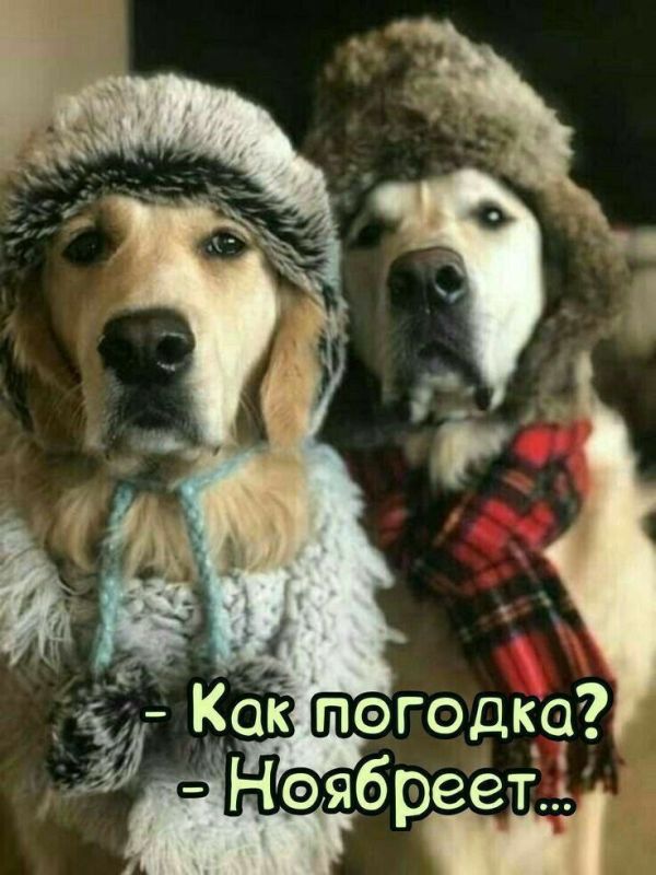 #������������