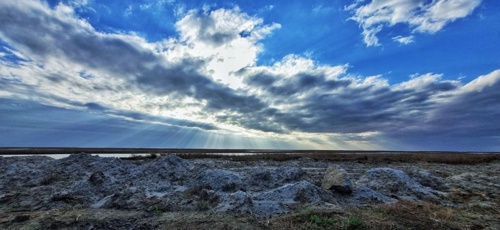 ������� ���������� ������� � �������� ������� ���������� ���������� �������