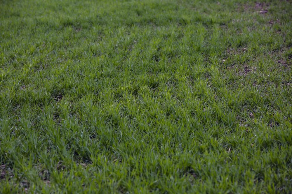 � ���������� ������� ������ ������ ��������