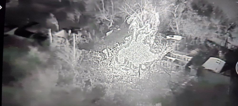 ���������� �����������. ������