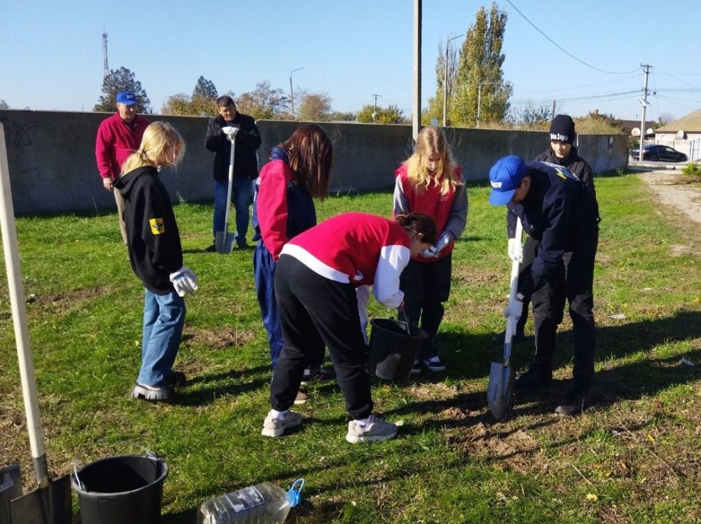 ���������� ����������� �������������� ������ ������������