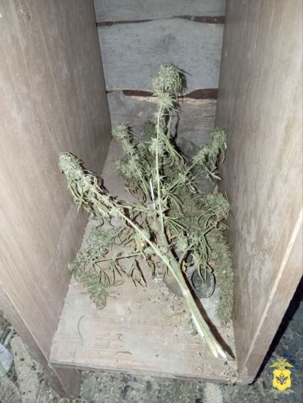 � ���������� ������� ����������� ������ 0,5 �� ������� � ������ ���������������� ������