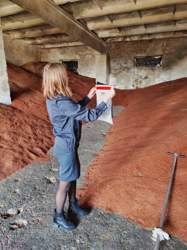 � ���������� ������� ���������������� ������� ����������������� 126 ���������� � ������������ �����