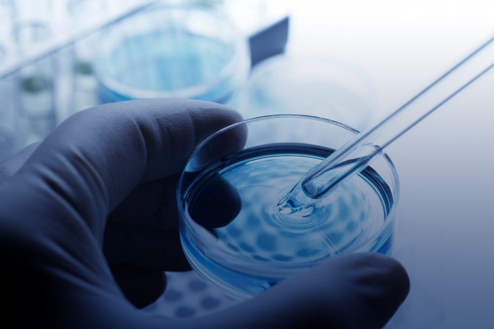 � ������ ������� ��������������� ������� ���������-�������������� ����������� ������������ ����