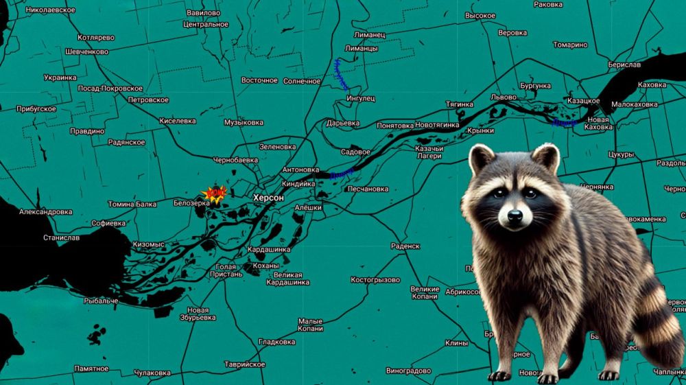 ���� �� �������: ���� ������! ���������� �� �����������: