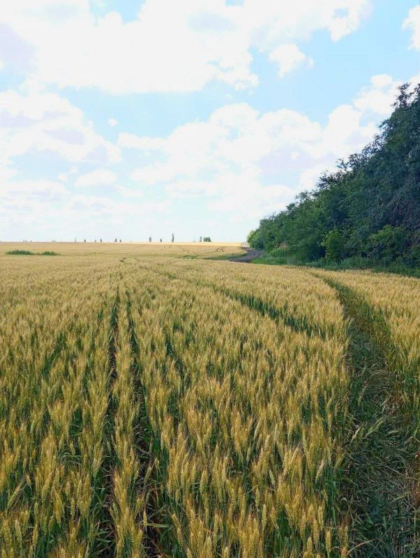 ����� ����������: � ���������� ������ ������ ������ ��������