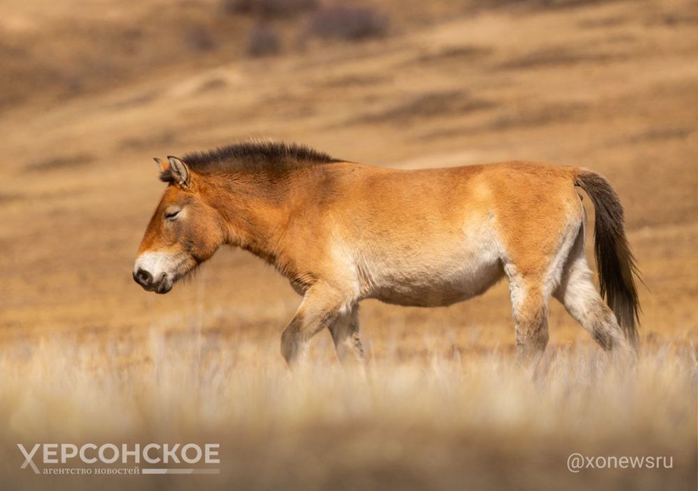 ���������� ��������� ����� ������������� ������ ������������� � ���������� �������