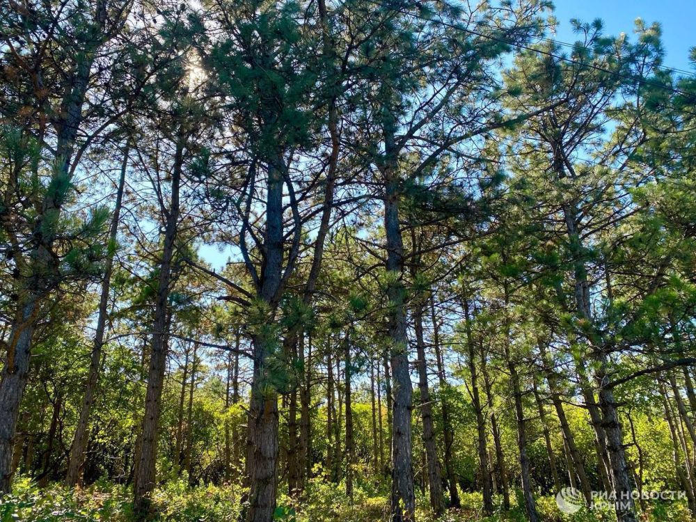 ������ �� ����� ����������� ������