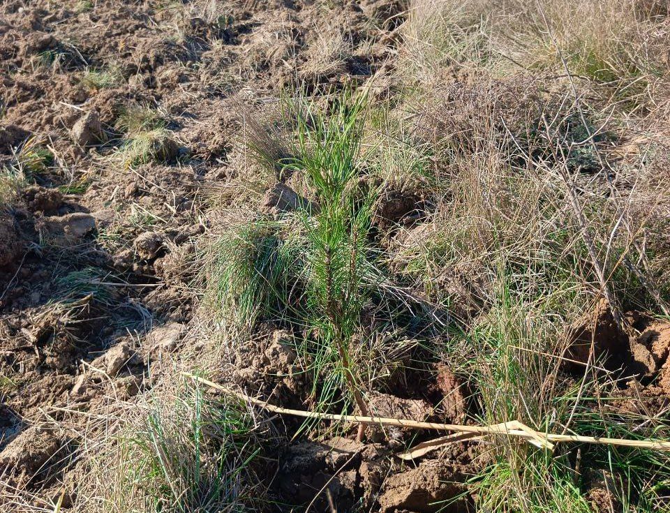 ������ ��� �������� � ���������� ��� ��������� ������� ����� �� ������� ��������