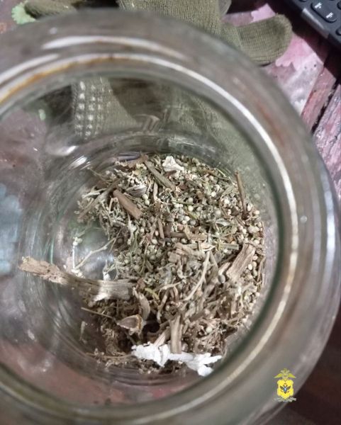� ������ ���������������� ������ ����������� ������ ��������� � ����� �������