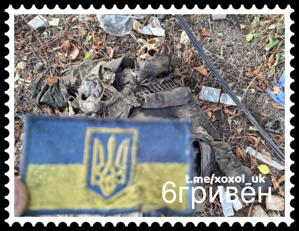 ����� ��� � �����. ��������-����� ���������� �������