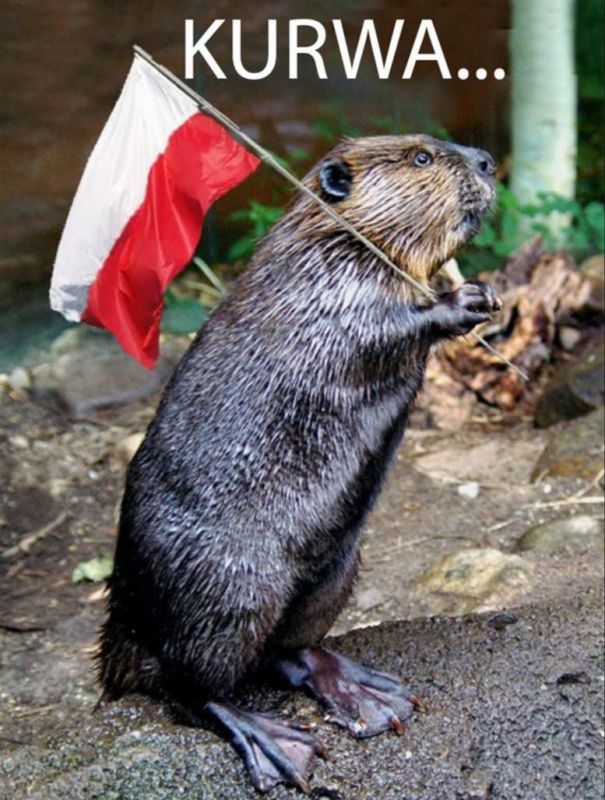 ����� �������, �������� ��������������� � ��������� ���� �������������� �������: ������ ������ �������� ������� �������, ������������� ������������ � ������������ ������� �����?