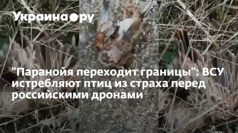 "�������� ��������� �������": ��� ���������� ���� �� ������ ����� ����������� �������