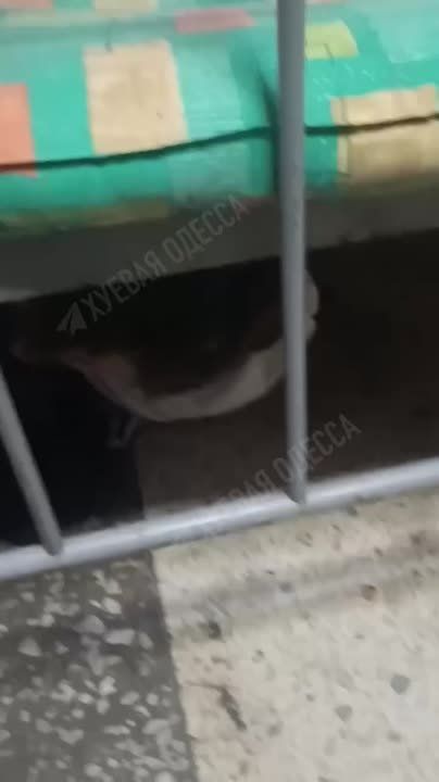 �������� ��������� ��� ��������� � ��������� �� ����������� � ������, ������� �� ������� � ����������