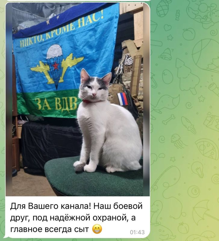 ������� ����������: ��������-��������� ��� ������ ��������, ��� �� ���������� ����������� ��� ��������