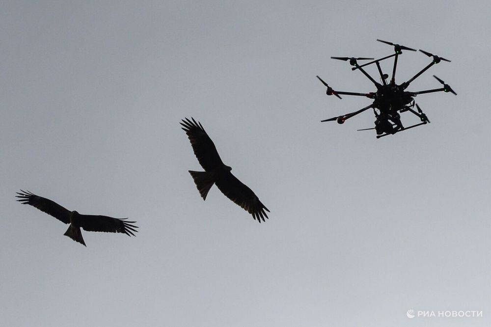 �������� �������� � ����������� ������ ������ �� ������� ���