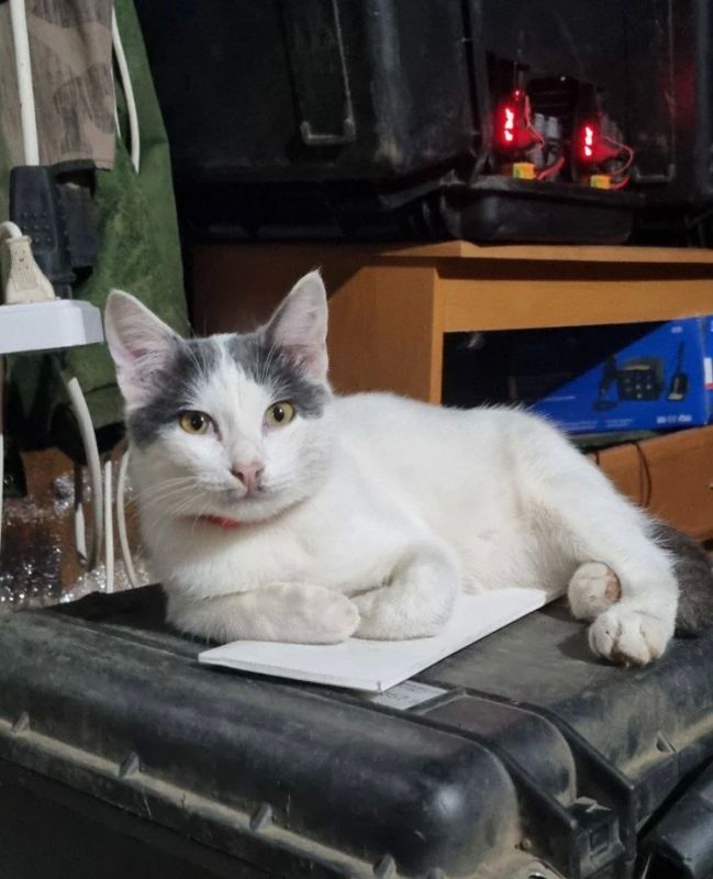 ��� ������ ��� ������ �������� �������� ������ �� ���