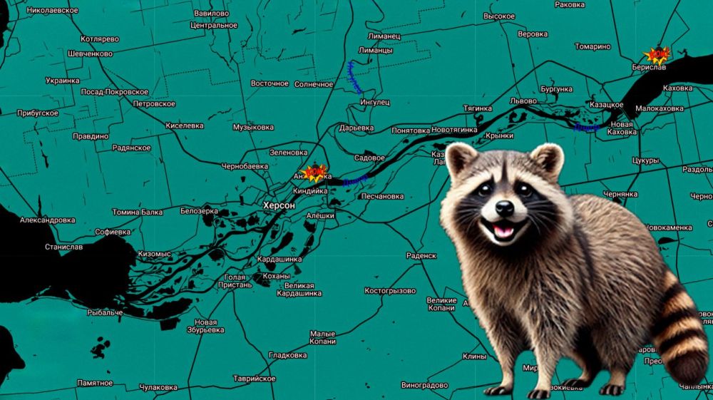 ���� �� �������: ������ ����, ������! ����������� ���������� �� �����������: