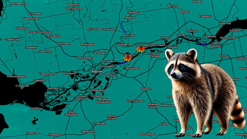 ���� �� �������: ������ ����! ����������� ����������: