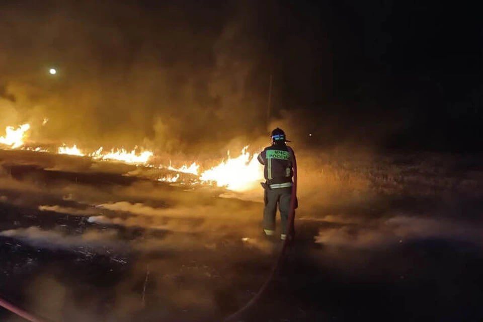 � ��������������� ������ ��������� �������������